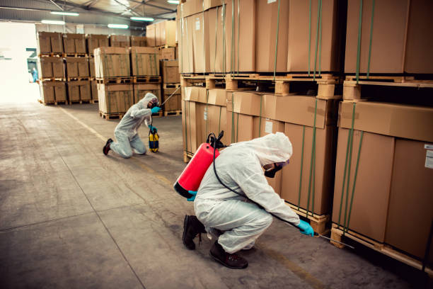Best Best Pest Control Companies  in Woods Cross, UT