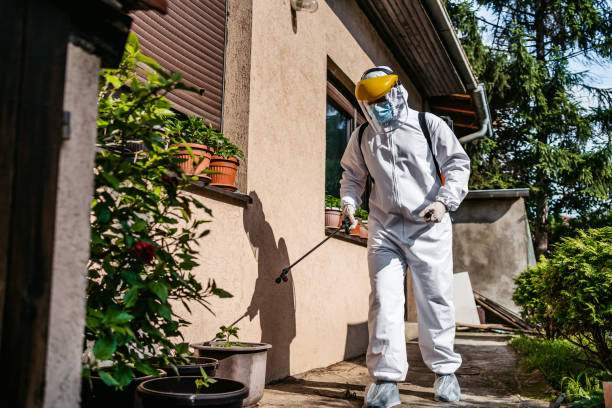 Best Residential Pest Control  in Woods Cross, UT