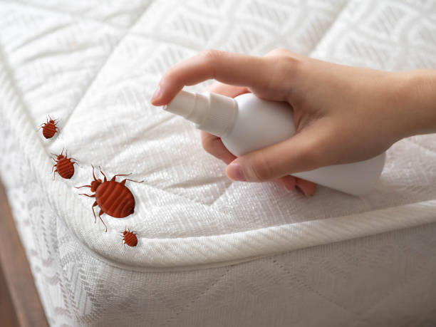 Pest Control for Restaurants in Woods Cross, UT