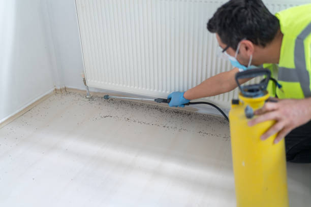 Best Residential Pest Control  in Woods Cross, UT